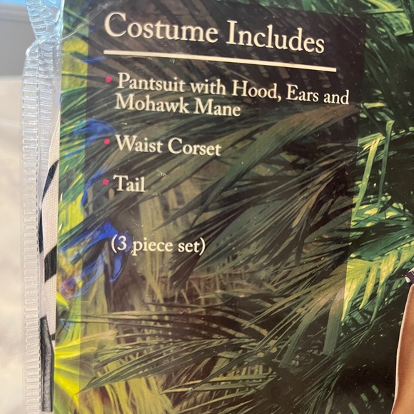 NWT DREAMGIRL ZEBRALIOUS +14 yo costume - Picture 3 of 5